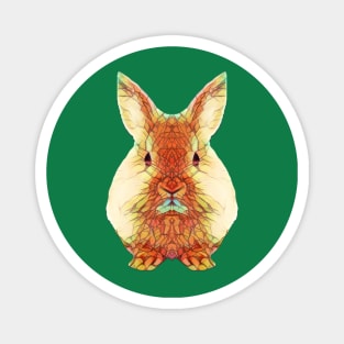 Cute Rabbit Design Magnet